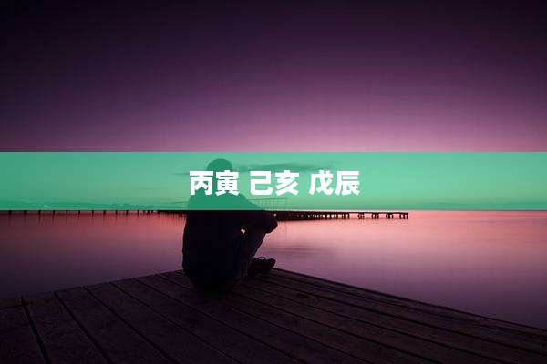 丙寅 己亥 戊辰