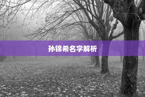 孙锦希名字解析