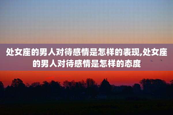 处女座的男人对待感情是怎样的表现,处女座的男人对待感情是怎样的态度