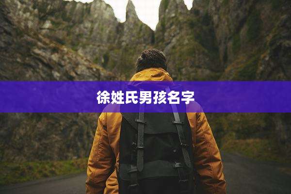 徐姓氏男孩名字
