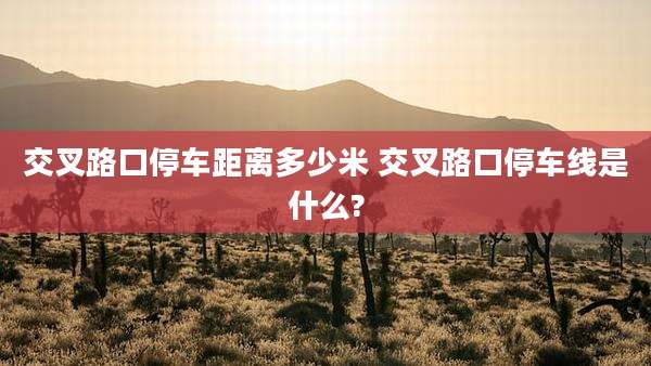 交叉路口停车距离多少米 交叉路口停车线是什么?