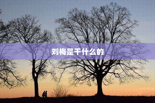 刘梅是干什么的