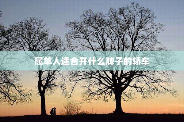 属羊人适合开什么牌子的轿车