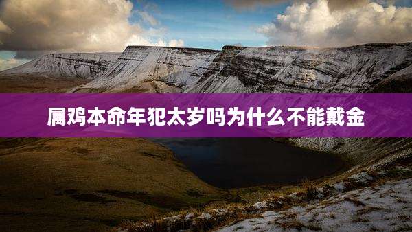 属鸡本命年犯太岁吗为什么不能戴金
