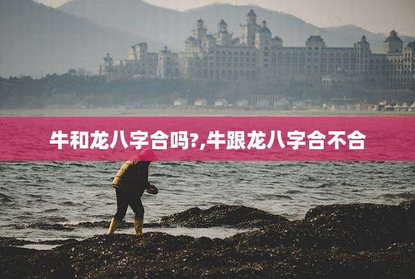牛和龙八字合吗?,牛跟龙八字合不合
