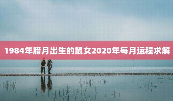 1984年腊月出生的鼠女2020年每月运程求解