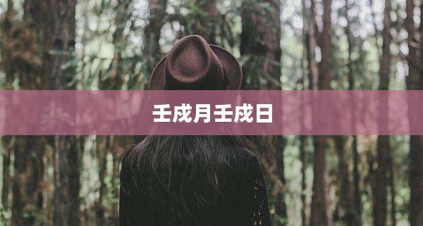 壬戍月壬戍日