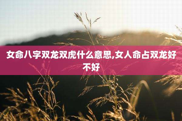 女命八字双龙双虎什么意思,女人命占双龙好不好