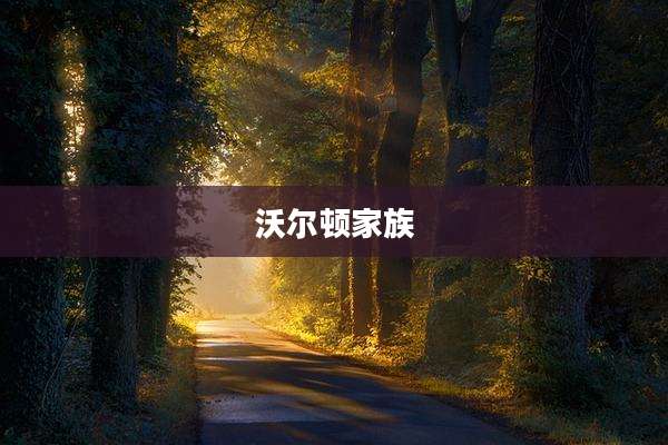 沃尔顿家族