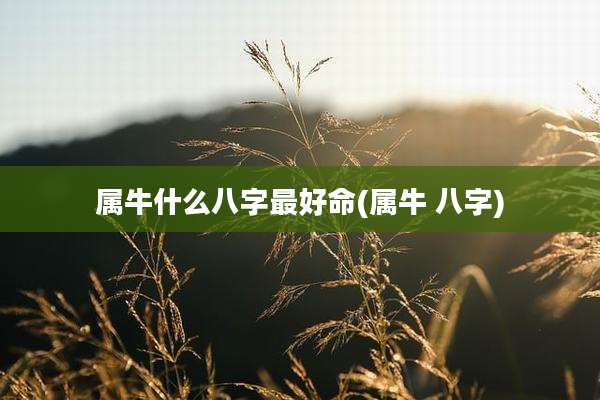 属牛什么八字最好命(属牛 八字)