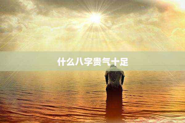 什么八字贵气十足