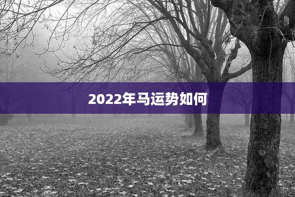 2022年马运势如何