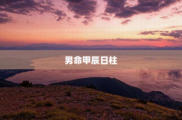 男命甲辰日柱