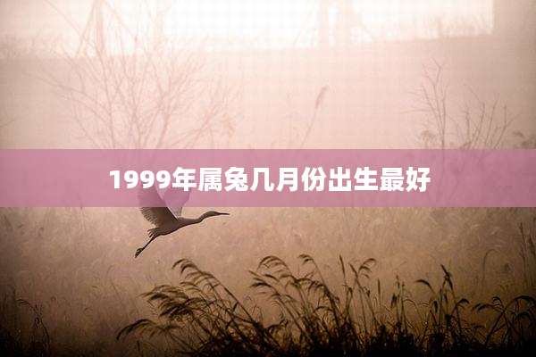 1999年属兔几月份出生最好