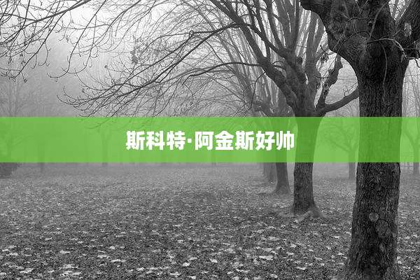 斯科特·阿金斯好帅