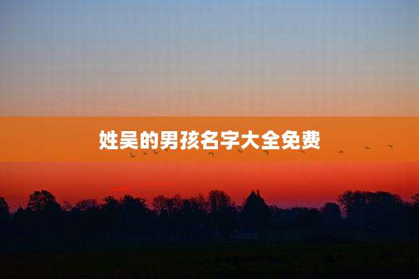 姓吴的男孩名字大全免费