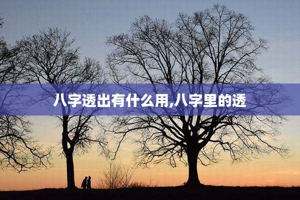 八字透出有什么用,八字里的透