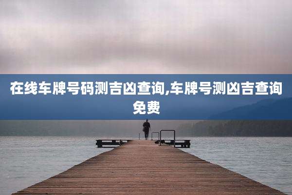 在线车牌号码测吉凶查询,车牌号测凶吉查询免费