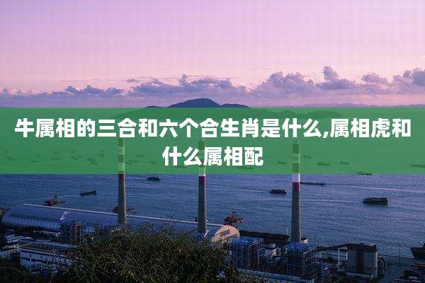 牛属相的三合和六个合生肖是什么,属相虎和什么属相配