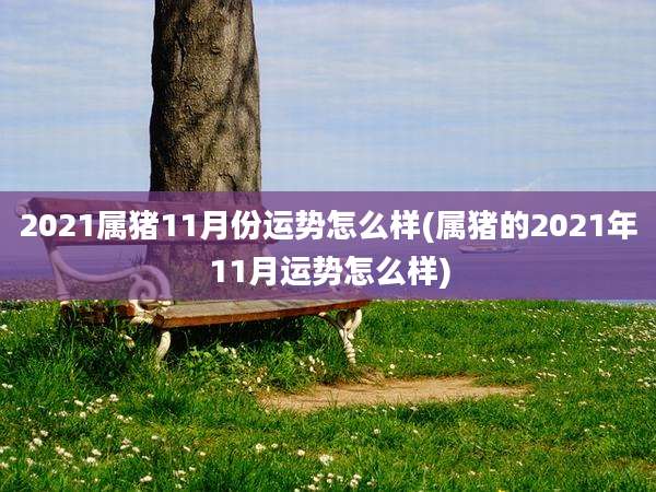 2021属猪11月份运势怎么样(属猪的2021年11月运势怎么样)