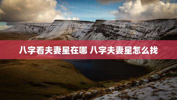 八字看夫妻星在哪 八字夫妻星怎么找