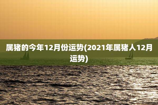 属猪的今年12月份运势(2021年属猪人12月运势)
