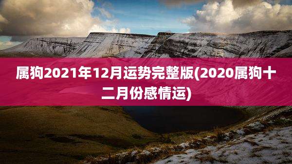 属狗2021年12月运势完整版(2020属狗十二月份感情运)