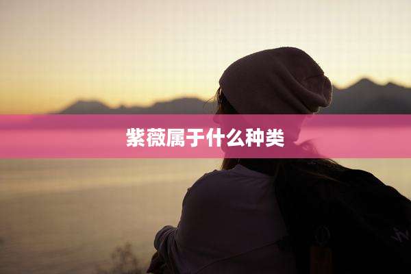紫薇属于什么种类
