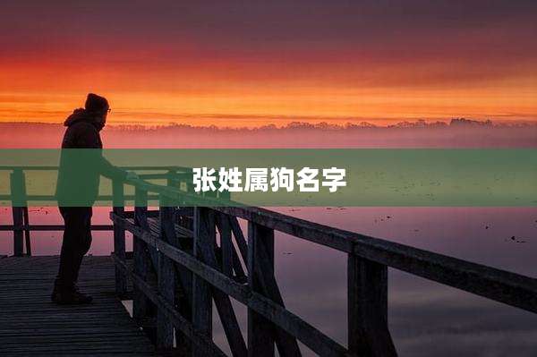张姓属狗名字
