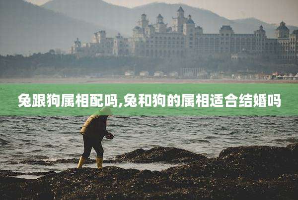 兔跟狗属相配吗,兔和狗的属相适合结婚吗
