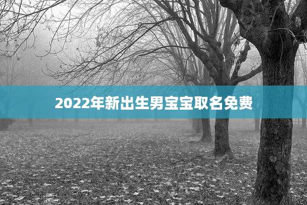 2022年新出生男宝宝取名免费