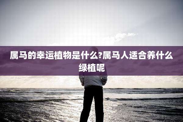 属马的幸运植物是什么?属马人适合养什么绿植呢