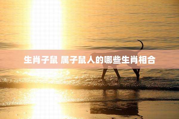 生肖子鼠 属子鼠人的哪些生肖相合