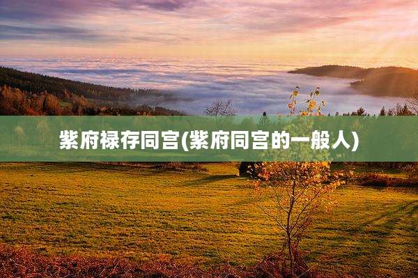 紫府禄存同宫(紫府同宫的一般人)