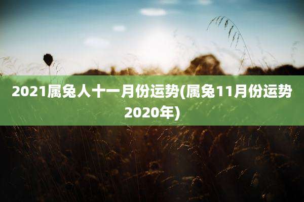 2021属兔人十一月份运势(属兔11月份运势2020年)