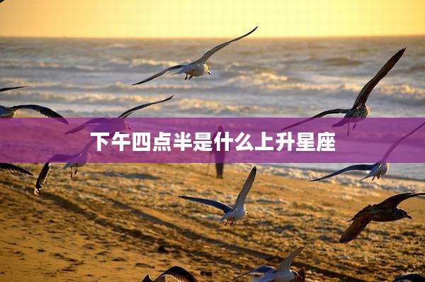 下午四点半是什么上升星座