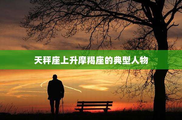 天秤座上升摩羯座的典型人物