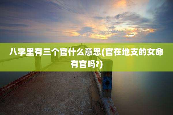 八字里有三个官什么意思(官在地支的女命有官吗?)