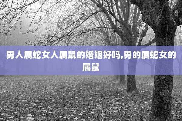 男人属蛇女人属鼠的婚姻好吗,男的属蛇女的属鼠