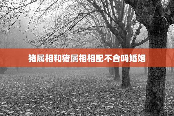 猪属相和猪属相相配不合吗婚姻