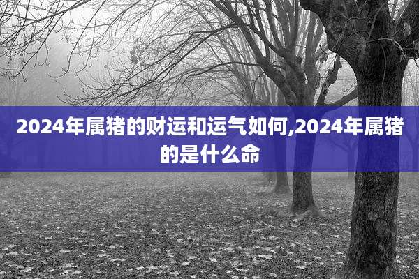 2024年属猪的财运和运气如何,2024年属猪的是什么命