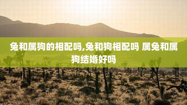兔和属狗的相配吗,兔和狗相配吗 属兔和属狗结婚好吗