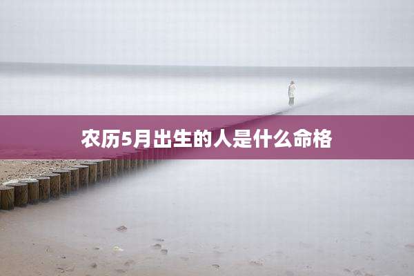 农历5月出生的人是什么命格