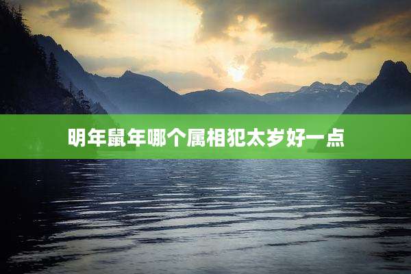 明年鼠年哪个属相犯太岁好一点