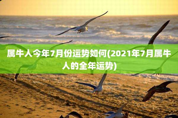 属牛人今年7月份运势如何(2021年7月属牛人的全年运势)