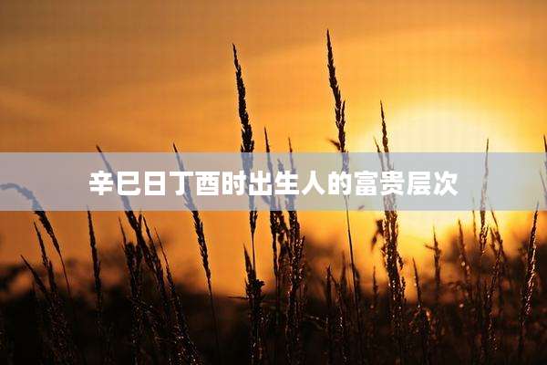 辛巳日丁酉时出生人的富贵层次