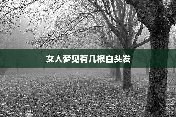 女人梦见有几根白头发
