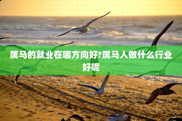 属马的就业在哪方向好?属马人做什么行业好呢