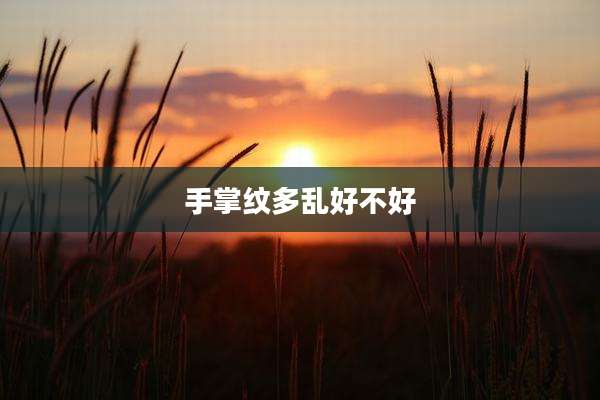 手掌纹多乱好不好