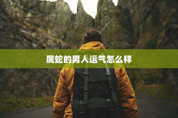 属蛇的男人运气怎么样